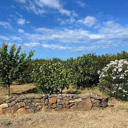 Country House Casa vacanze
