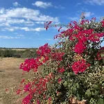 Country House Santa Caterina Di Pittinuri (Sardinia)